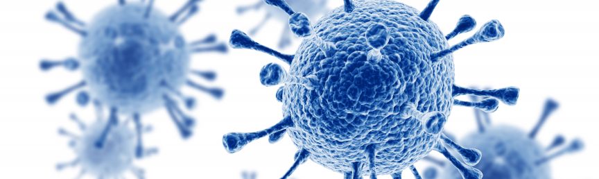 Headerbild für aktuelle Informationen des Digitalministeriums zum Corona-Virus Foto einzelner Viruspartikel