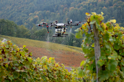 Wie sieht der digitalte Weinberg 4.0 aus? Per Drohne kann Pflanzenschutzmittel effizienz über Rebstöcke verteilt werden, gerade in Hanglage eine starke Arbeitserleichterung. 