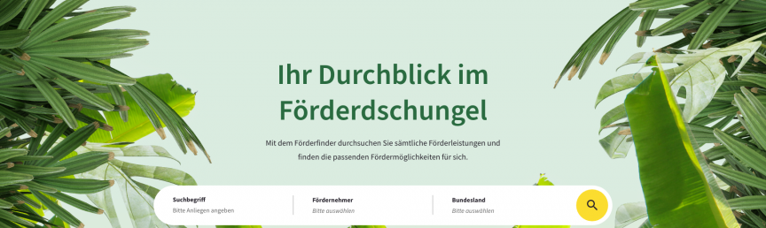 Screenshot der Startseite des Förderfinders