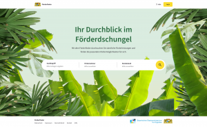 Screenshot der Startseite des Förderfinders