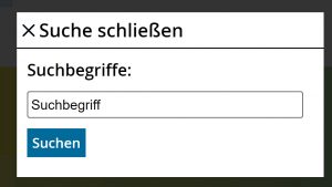 Screenshot des Suchfelds
